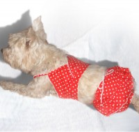 /album/modni-prehlidka/a57267-jpg/